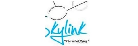 Image result for skylink aviation school
