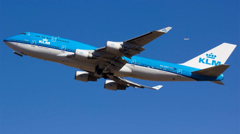 KLM Boeing 747 Suspects Bird Strike