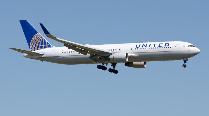 United Boeing 767 Rejects Take-off Due to Bird Strike